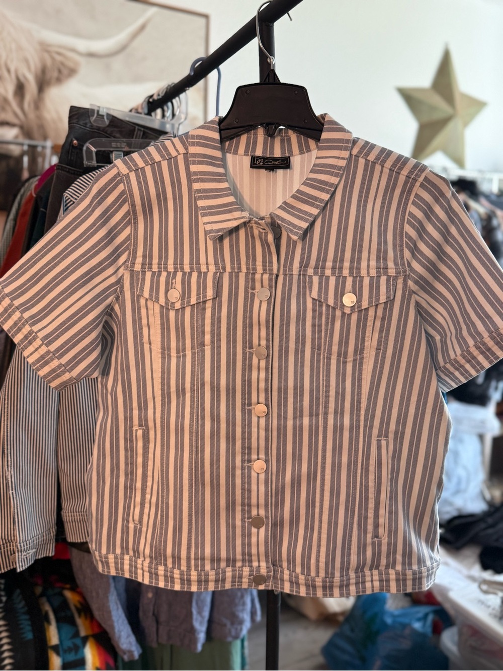 DG2 by Diane Gilman Blue & White Striped Short-Sleeve Button Front Shirt Jacket